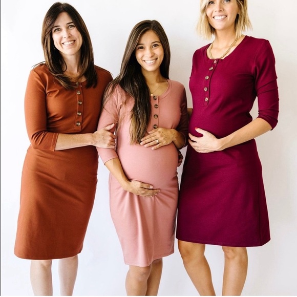 Lou Lou & Company Every Day Maternity and Nursing Dress - Picture 2 of 12